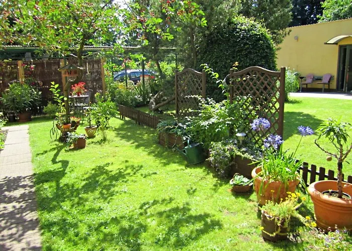 Urlaub Bei Umlauf Heringsdorf (Usedom)